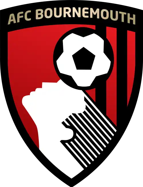 team logo